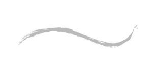 brush stroke underline silver